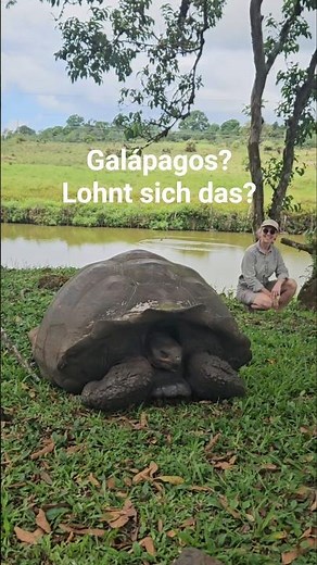 Lohnt sich Galápagos wirklich? Meine ehrliche Einschätzung