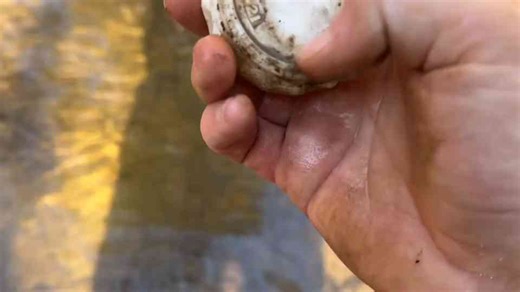 Antique Bottle Hunting at an Old Train Bridge!