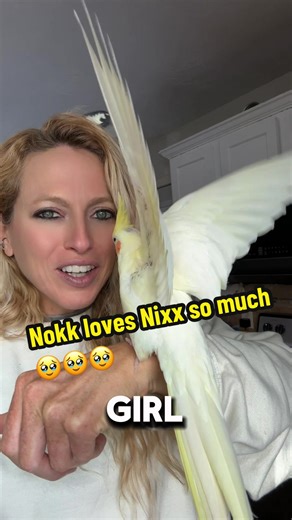 Guys🥹 They are just so cute🫠 | cute guys