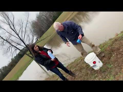 Filamentous Algae in Ponds and Copper Sulfate