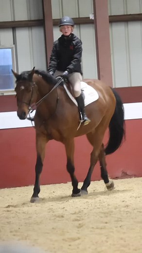 3.2K views · 20 reactions | No better way to head into Thanksgiving Break than with a little #NoStirrupNovember!  #Madeira #MadeiraEquestrian #MadEq #IHSA #IEA #IEAZone3 #Equestrian #RidingSchool #BoardingSchool #HunterJumper | Madeira Equestrian Program | Facebook