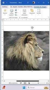 Learn how to insert an image into a table in Microsoft Word. #word #Excel #tutorial