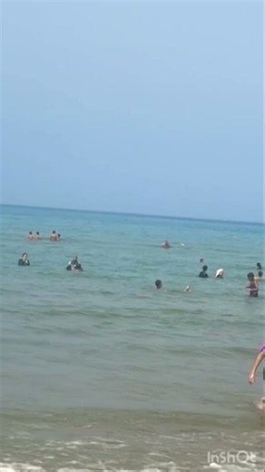 بونجور عليكم 🌼