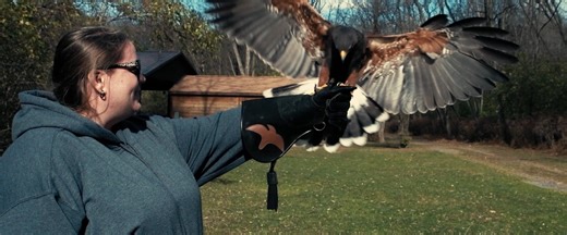 Elevate your content with The SHEDIO — Cleveland’s only solar-powered micro studio. Designed for brands, and creators who expect cinematic quality without unnecessary environmental impacts. From commercials and product launches to live streaming and podcasts, our studio combines cutting-edge technology with sustainable production. Discover what’s possible at http://Shedio.co Opening soon #TheShedio #ClevelandStudio #SolarPoweredProduction #CinematicBranding #ContentStrategy #CreativeProduction #