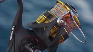 BG BRILLANCE Feel the black and gold rush of the BG range. FEEL ALIVE | Daiwa Australia