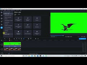 How to use a green background on Movavi