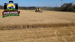 new holland 8040 | Pinkowski - fotos agrícolas PY