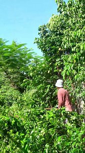 599K views · 3.4K reactions | Shocking Discovery: Cleaning Up an Old House After 10 Years #short #clean #cleanup #cleaning #cleaningtheoldhouse #cleaningmotivation | Clean The Old House | Facebook