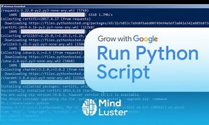 Mind Luster - Learn How to Run a Python Script | Google IT Automation with Python Certificate