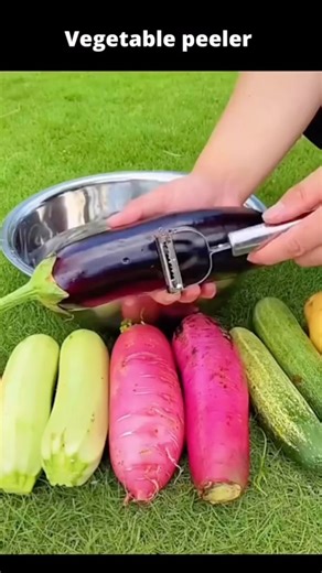 5.8K views · 94 reactions | 2 in 1 Julienne peeler and cutter! $2.60 | HouzeCart | Facebook