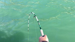 424K views · 445 reactions | See how our #new Quick 2 reel (price range: around 60 Euro ) deals with a big catfish!  Available at your local tackle shop soon!  #fishon #quickreels #DAMtackle #Quick2 | DAM Fishing Tackle | Facebook