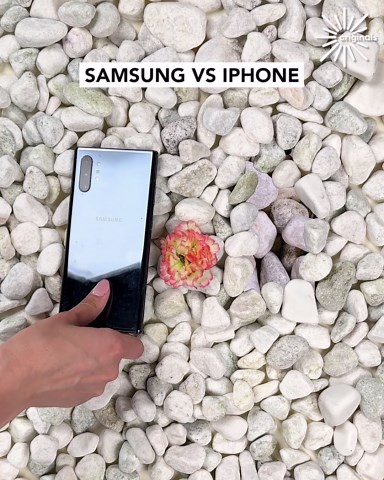 The difference between a samsung and iphone camera