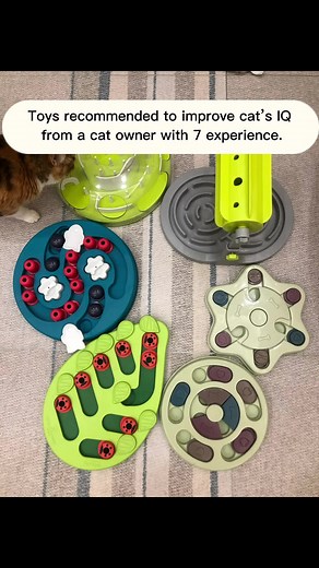 Cat Educational Toys to Improve IQ | Toy Recommendations for Smart Cats