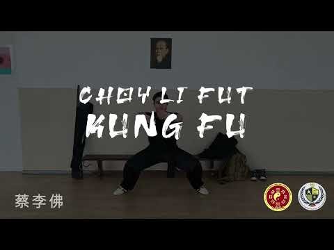 Level 8 – Lesson 03 | Siu Ng Ying Kuen | Choy Li Fut Kung Fu
