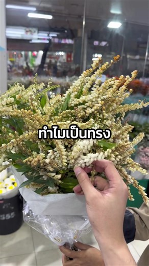 ดอกเล็กๆน่ารัก🤍🤏🏻 คล้าย lily of the valley #pieris #555flowers #ปากคลองตลาด #flowers #ร้านดอกไม้
