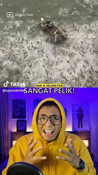 Memancing Dengan Elektrik? “Electrofishing” Electrofishing adalah kaedah tinjauan saintifik yang menggunakan arus elektrik untuk melumpuhkan ikan sementara, menjadikannya lebih mudah untuk ditangkap bagi tujuan kajian. Teknik ini membolehkan para penyelidik menilai populasi ikan, kepelbagaian spesies, dan kesihatan keseluruhan tanpa menyebabkan kemudaratan jangka panjang kepada ikan. Ia biasanya digunakan dalam persekitaran air tawar dan menyediakan data berharga untuk usaha pemuliharaan dan pen