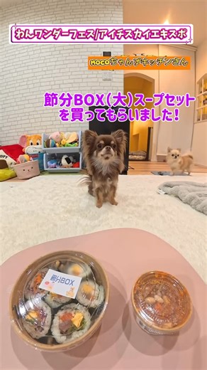 ちわっす兄弟チャンネル on Instagram: "ちわーっす❣️ 本日2025/1/11に愛知SKY EXPOにて開催されました、 わんワンダーフェスに参加してきました〜‼️ @npokimimo 1店舗目は〜！ちわっす家が2026年アンバサダーを務めさせていただくことになりました‼️ 【Mocoちゃんずキッチン】さん🐶 @moco_chan.s.kitchen 今日は“七草粥”と“金目鯛ジャーキー”と“節分BOX（大）スープ付き”を購入してきました〜👏 Mocoちゃんずキッチンさんのおやつやご飯はどれもとっても美味しそうなお顔をして食べてくれるんです🤤 次回の出展予定は2026/1/25に愛知県の鳴海ハウジングセンターで開催されるわんワンダーフェスとなっております♬ 是非!Mocoちゃんずキッチンさんへ美味しいご飯やおやつをGETしに行ってみてください🐶 #わんワンダーフェス #愛知skyexpo #mocoちゃんずキッチンの節分 #dog #チワワ"