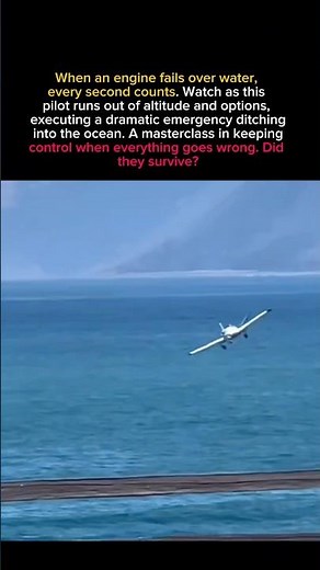 Engine Fails Mid-Air! Insane Emergency Ocean Ditching Caught on Camera!#aviation
