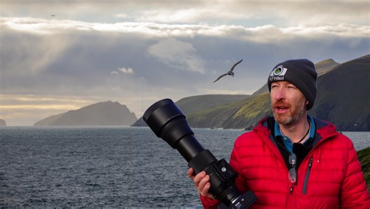 Why the Sigma 150-600mm is Still My Go-To Wildlife Lens After 7 Years