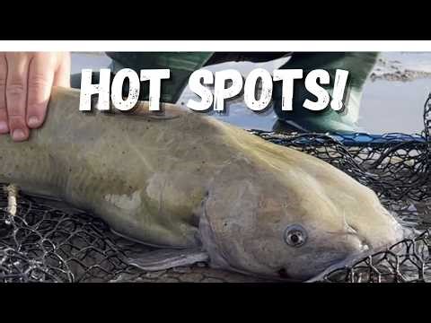 3 HOT Fishing Spots for Kids in Utah