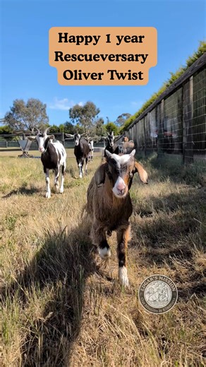 15K views · 1.1K reactions | "Arriving alone and scared on the 25th...