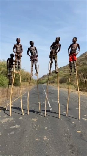 Stilt walking among the Banna tribe in Ethiopia’s Omo Valley is more than just a skill — it's a vibrant cultural tradition that showcases balance, pride, and community spirit. 🌍✨ #OmoValley #BannaTribe #CulturalHeritage #Ethiopia #stiltwalker #CulturalExperience #VisitEthiopia #nationalgeographic #TribalLife #viralpost2025シ | Armaye Negalign