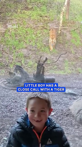 Child jumps back after close encounter with pouncing tiger at zoo