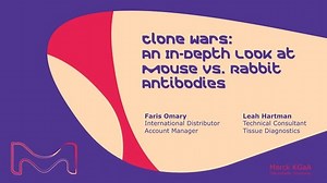 Clone Wars: An In Depth Look at Mouse vs Rabbit Antibodies