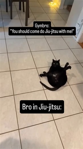 Bane | Cosplay Villain on Instagram: "Silly black cat meme in memory of my black cat. #gym #fitness #workout #fypシ #fyp #explore #meme #memes #memesdaily #dailymemes #cat #cats #catsofinstagram #bjj #mma"