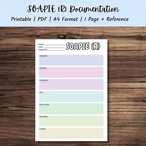 SOAPIE (R) Documentation Template and Reference Guide - Etsy