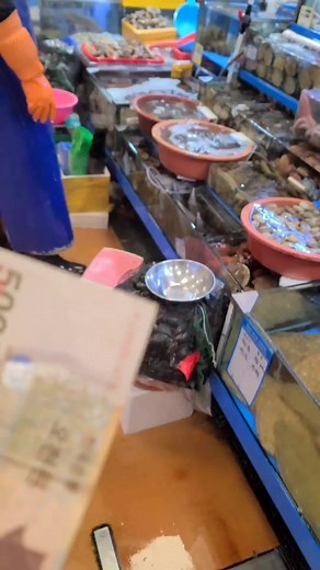 키조개 한마리#pen shell#razor shell#해산물유튜버 #나도백대표다 #추천떠라 #youtuber #유튜브구독해주세요