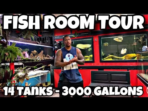 FISH ROOM TOUR! 3000 GALLONS