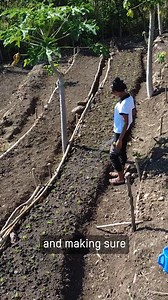 🌱 “Before, I planted crops using my own knowledge… Now we use improved techniques.” – Amelia Oxfam’s Hamriik Project in Timor-Leste is helping women grow food, earn income, and build resilience in the face of climate change. Together, families like Amelia’s are standing strong. 💚 Thank you New Zealand Ministry of Foreign Affairs and Trade for walking this journey with us. Check out our Youtube channel for the full video. | Oxfam