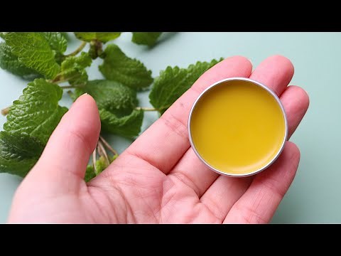 Easy Lemon Balm Lip Balm Recipe (lip salve for cold sores)