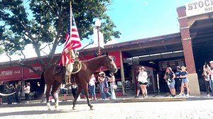 8.1K views · 437 reactions | Experience the Old West come to life!  Join us for the Twice Daily Cattle Drive through the streets of Fort Worth Stockyards—every day at 11:30 AM & 4:00 PM. Don’t miss this iconic Texas tradition! 鸞 #FortWorthHerd | Fort Worth Herd | Facebook