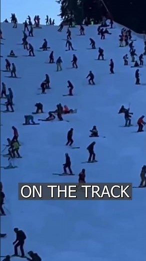 DRUNK skiers blocked a ski slope in Austria