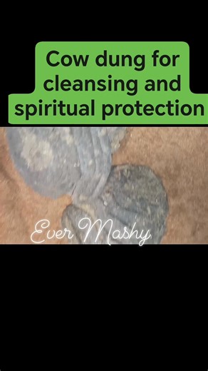 FOR CLEANSING AND PROTECTION RITUAL USING COW DUNG. Cow dung helps someone who feels that things in their life not going well. Helps person who are experiencing bad luck,negative energy or spiritual blockages. It can be used as type of impepho during ancestral rituals ... Even when you feels like your spiritual path is blocked , this can help open the way and allow your guides or ancestors to here you better. Take cow dung, eggs and milk mix together. Rub the mixture all over your body, from hea