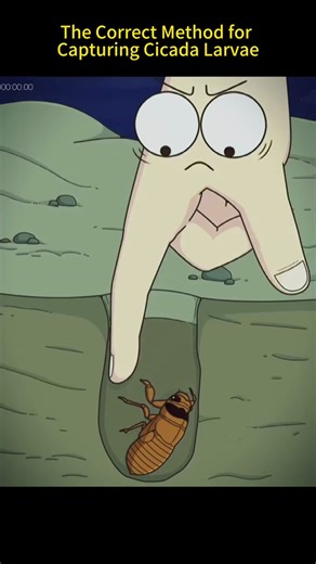 Capturing Cicada Larvae: The Correct Method