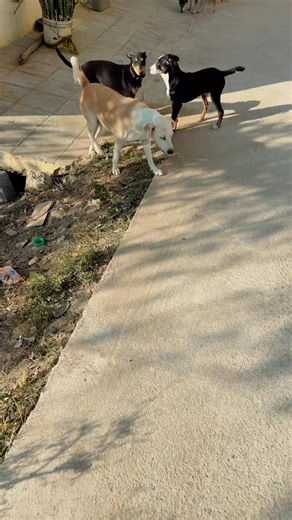 Manisha Moi Tumar Kolija on Reels