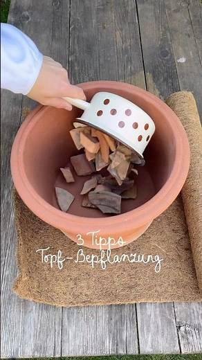 3 Gärtner-Tipps: Bepflanzung von Töpfen & Blumen-Kübeln