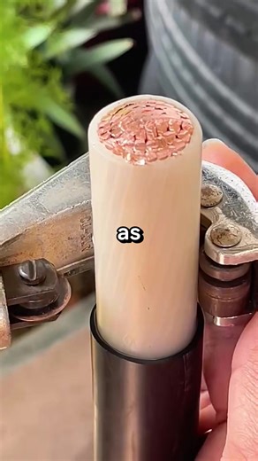 Top Questions to Ask on Reddit's AskReddit