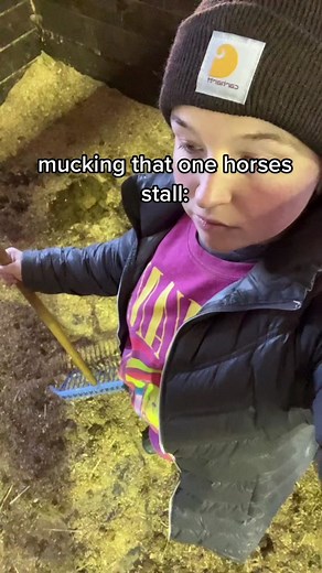 #HuluChippendalesDance #BetheReasonVisa #IntuitTouchdownDance #horsesoftiktok #equestrian #horse