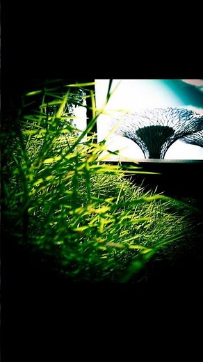 These cameras will make you love abstract street photography