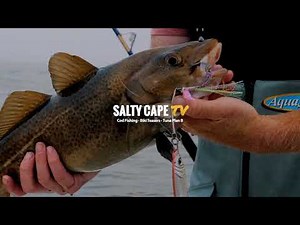 Offshore Jigging Cod | Haddock | Pollock with Hogy Jig-Biki Rigs