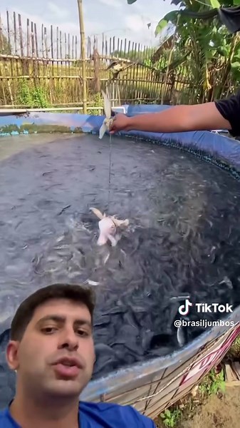 Experimento Inusitado com Cabeça de Cabra e Bagres