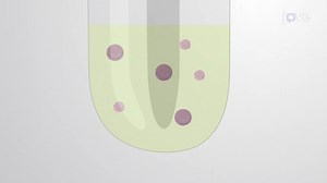 Video: Purification of Subpopulations of Extracellular Vesicles: A Technique to Purify Subpopulations of Extracellular Vesicles Using Density Gradient Ultracentrifugation - Experiment