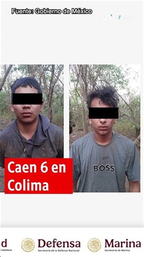 Noticias de hoy 15 de diciembre de 2025, en un minuto, hasta las 19:00 horas