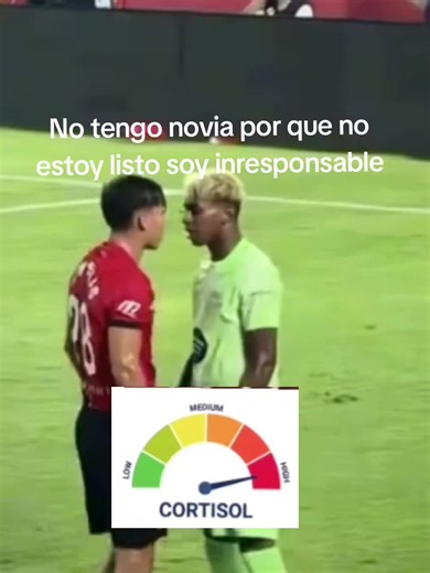 No tengo novia: razones y reflexiones personales