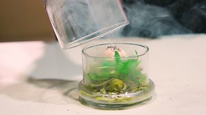 261K views · 154 reactions | One chef wants guests to explore the Asian American identity through experiential dining. And people visiting the US for work, school, and vacation can now apply to extend their stays online. | Business Insider Today | Facebook