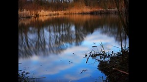 Water, Reflection, Water Reflection. Free Stock Video